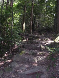 滝尻王子からの急勾配