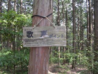 歌声ポイント