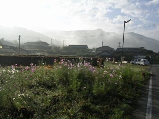近露の朝