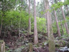 三越峠までの道