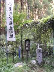 まかずの稲