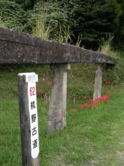 中辺路