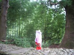 熊野　大門坂